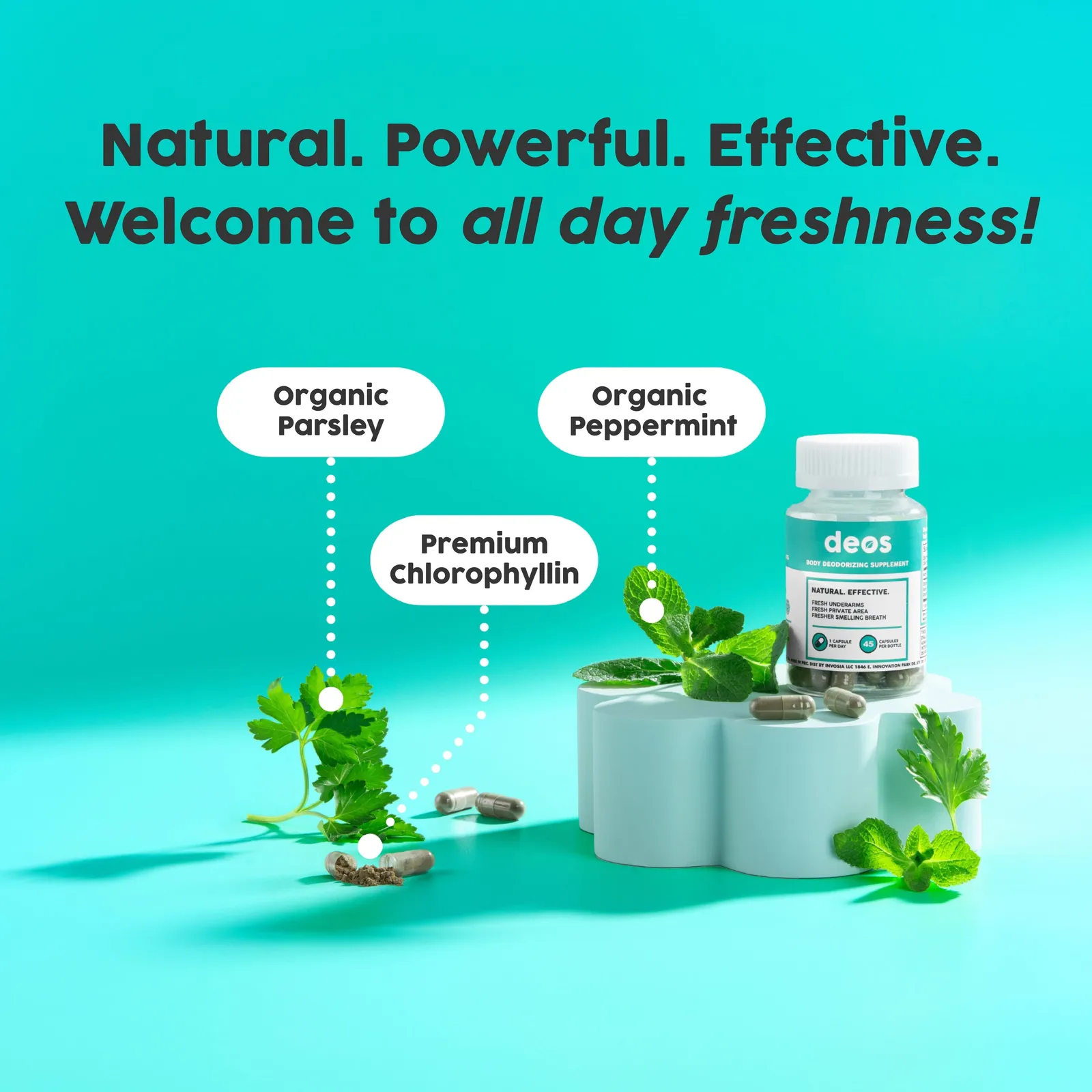 Natural Powerful Effective - Organic Parsley, Premium Chlorophyllin, Organic Peppermint